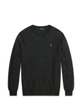 Polo Ralph Lauren embroidered Pony crew-neck sweater