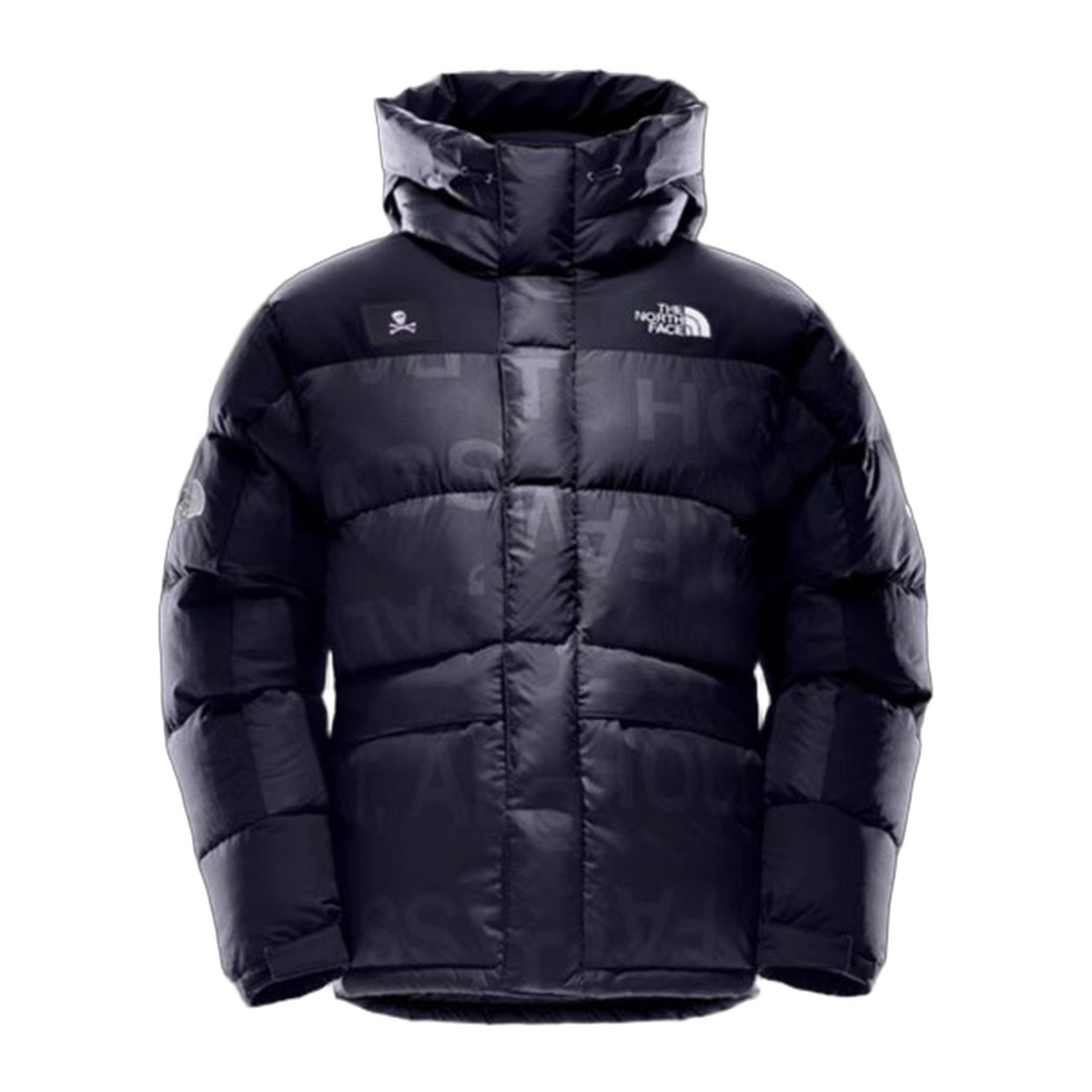 The North Face Urban Exploration Down Parka – 380-Fill | Style 5J27